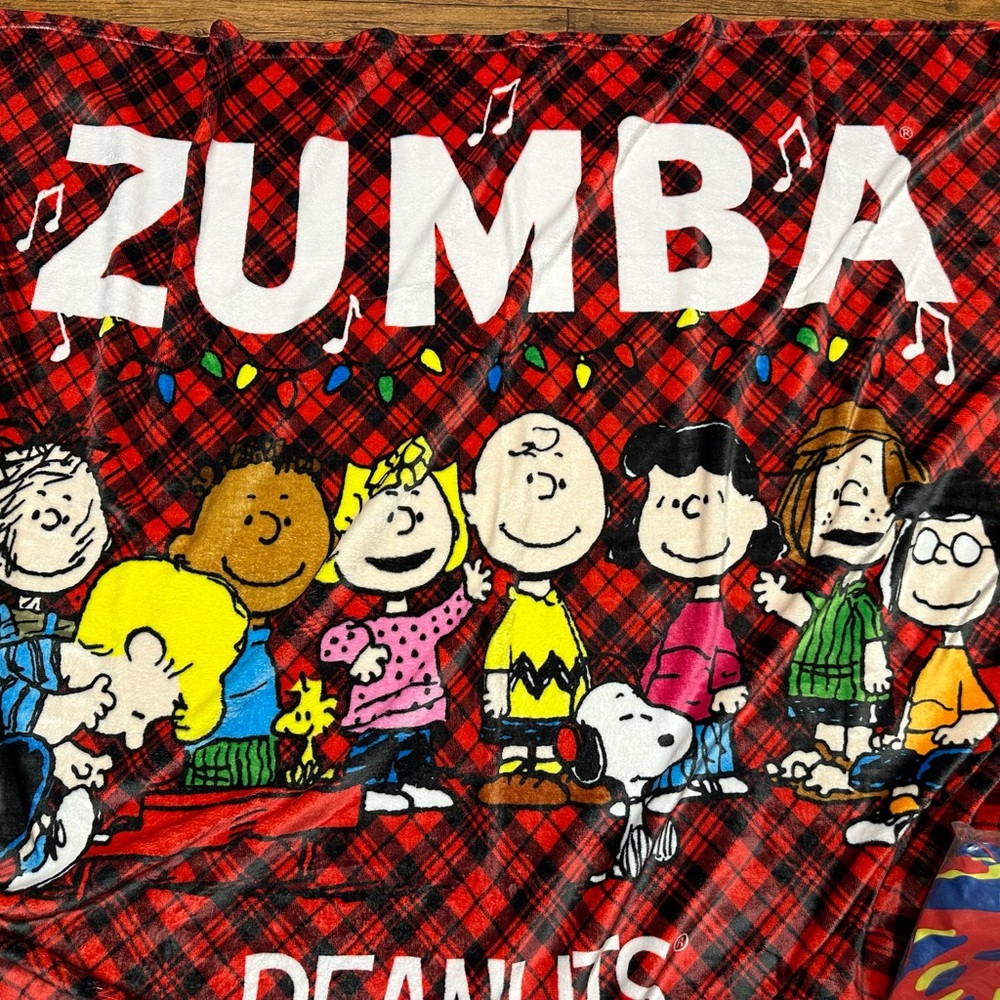 Zumba Fitness Kids Pajama Set - Red Plaid with Cartoon Characters